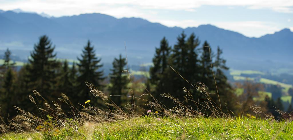 Panoramagasthof Auf Dem Auerberg Bernbeuren Dış mekan fotoğraf